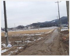  2024Ÿ40067  ȼ   13      (1)