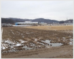  2024Ÿ40067  ȼ   13      (1)