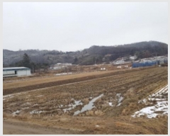  2024Ÿ40067  ȼ   13      (1)