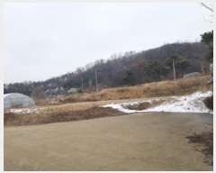  2024Ÿ40067  ȼ   13      (1)