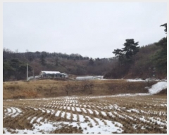  2024Ÿ40067  ȼ   13      (1)