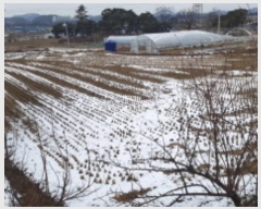  2024Ÿ40067  ȼ   13      (1)