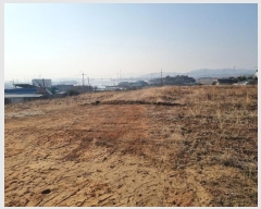  2024Ÿ��41244 ��� ���ý� ������ ������ 314-1      ����(�Ӿ�)���