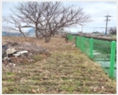  2024Ÿ��41244 ��� ���ý� ������ ������ 314-1      ����(�Ӿ�)���