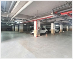  2024Ÿ42902  ý µ 47-8, 3313ȣ      ټ,