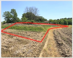  2024Ÿ��44892 ��� ���ý� ������ �ſ��� ��36-8      ����(�Ӿ�)���