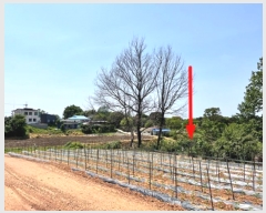  2024Ÿ��44892 ��� ���ý� ������ �ſ��� ��36-8      ����(�Ӿ�)���