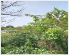  2024Ÿ��44892 ��� ���ý� ������ �ſ��� ��36-8      ����(�Ӿ�)���