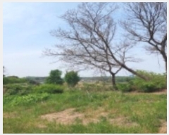  2024Ÿ��44892 ��� ���ý� ������ �ſ��� ��36-8      ����(�Ӿ�)���