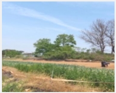  2024Ÿ��44892 ��� ���ý� ������ �ſ��� ��36-8      ����(�Ӿ�)���