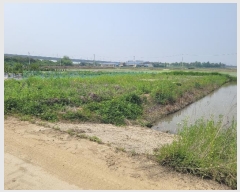  2024Ÿ��45574 ��� ���ý� ������ ��ȸ� 1410-2      ����(��)���