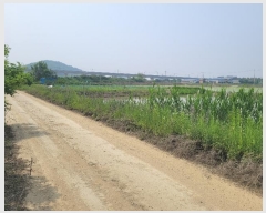  2024Ÿ��45574 ��� ���ý� ������ ��ȸ� 1410-2      ����(��)���