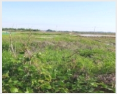  2024Ÿ��45574 ��� ���ý� ������ ��ȸ� 1410-2      ����(��)���