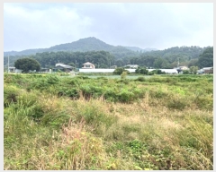  2024Ÿ��49965 ��� �ȼ��� �׻�� ������ 40      ����(��)���