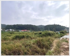  2024Ÿ��49965 ��� �ȼ��� �׻�� ������ 40      ����(��)���