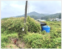  2024Ÿ��49965 ��� �ȼ��� �׻�� ������ 40      ����(��)���