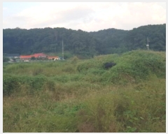  2024Ÿ��49965 ��� �ȼ��� �׻�� ������ 40      ����(��)���