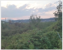  2024Ÿ��49965 ��� �ȼ��� �׻�� ������ 40      ����(��)���