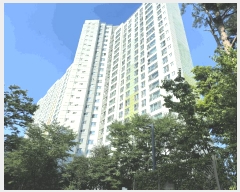  2024Ÿ��50286  ����Ʈ���