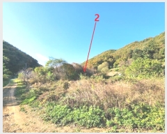  2024Ÿ51210  ȼ ݱ ︮ 1281      ð