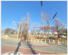  2024Ÿ53841  ý  559-1       (1)