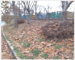  2024Ÿ53841  ý  559-1       (1)