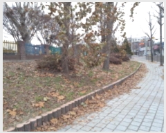  2024Ÿ53841  ý  559-1       (1)