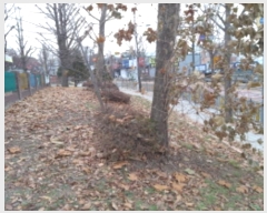  2024Ÿ53841  ý  559-1       (1)