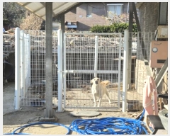  2024Ÿ54554  ý ؼ Ŵ븮 241-6      ð