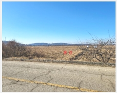  2024Ÿ��55311 ��� ���ý� �ؼ��� ���θ� 145-3      ����(��)���