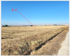  2024Ÿ��55311 ��� ���ý� �ؼ��� ���θ� 145-3      ����(��)���