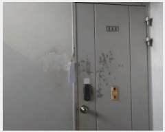  2024Ÿ56161  ȼ ƾ 23, 116 2209ȣ (ƾ絿,ƾְƮ)    Ʈ