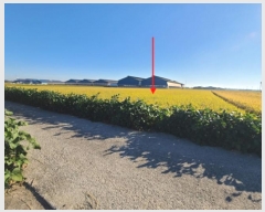  2024Ÿ3655  ý  â 539-15      ()