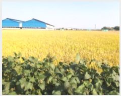  2024Ÿ3655  ý  â 539-15      ()