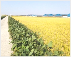  2024Ÿ3655  ý  â 539-15      ()