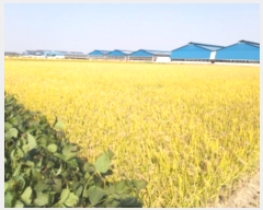  2024Ÿ3655  ý  â 539-15      ()