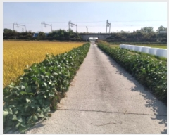  2024Ÿ3655  ý  â 539-15      ()