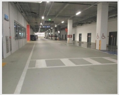  2024Ÿ4450  ý  1 19, 5533ȣ (ƼĻ)    Ʈ