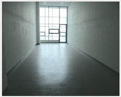  2024Ÿ4450  ý  1 19, 5533ȣ (ƼĻ)    Ʈ