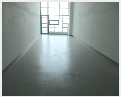  2024Ÿ4450  ý  1 19, 5533ȣ (ƼĻ)    Ʈ