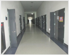  2024Ÿ4450  ý  1 19, 5533ȣ (ƼĻ)    Ʈ