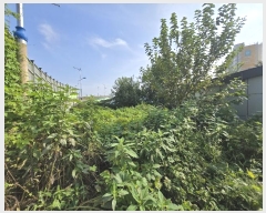  2024Ÿ4528  ý 嵿 159-3       (1)