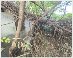  2024Ÿ4528  ý 嵿 159-3       (1)