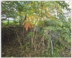  2024Ÿ4528  ý 嵿 159-3       (1)