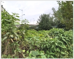  2024Ÿ4528  ý 嵿 159-3       (1)