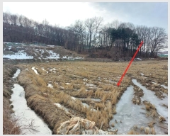  2024Ÿ��5569 ��� ���ý� û���� ���渮 23-4      ����(��)���