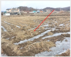  2024Ÿ��5569 ��� ���ý� û���� ���渮 23-4      ����(��)���