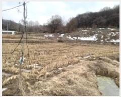  2024Ÿ��5569 ��� ���ý� û���� ���渮 23-4      ����(��)���