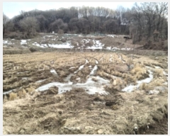  2024Ÿ��5569 ��� ���ý� û���� ���渮 23-4      ����(��)���