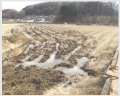  2024Ÿ��5569 ��� ���ý� û���� ���渮 23-4      ����(��)���